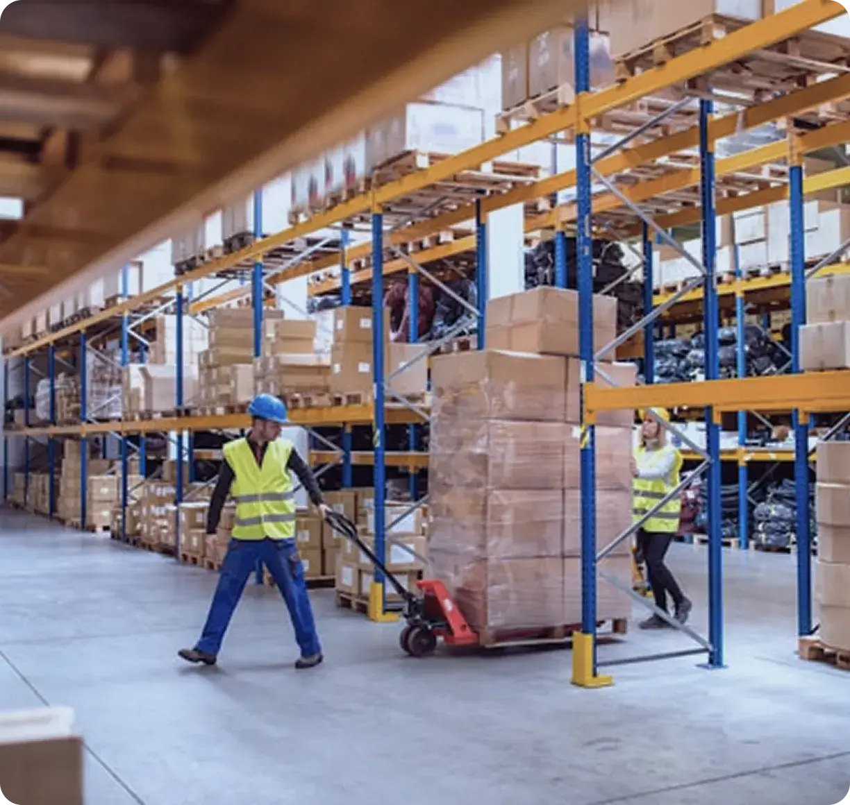 Wholesale & Distribution
